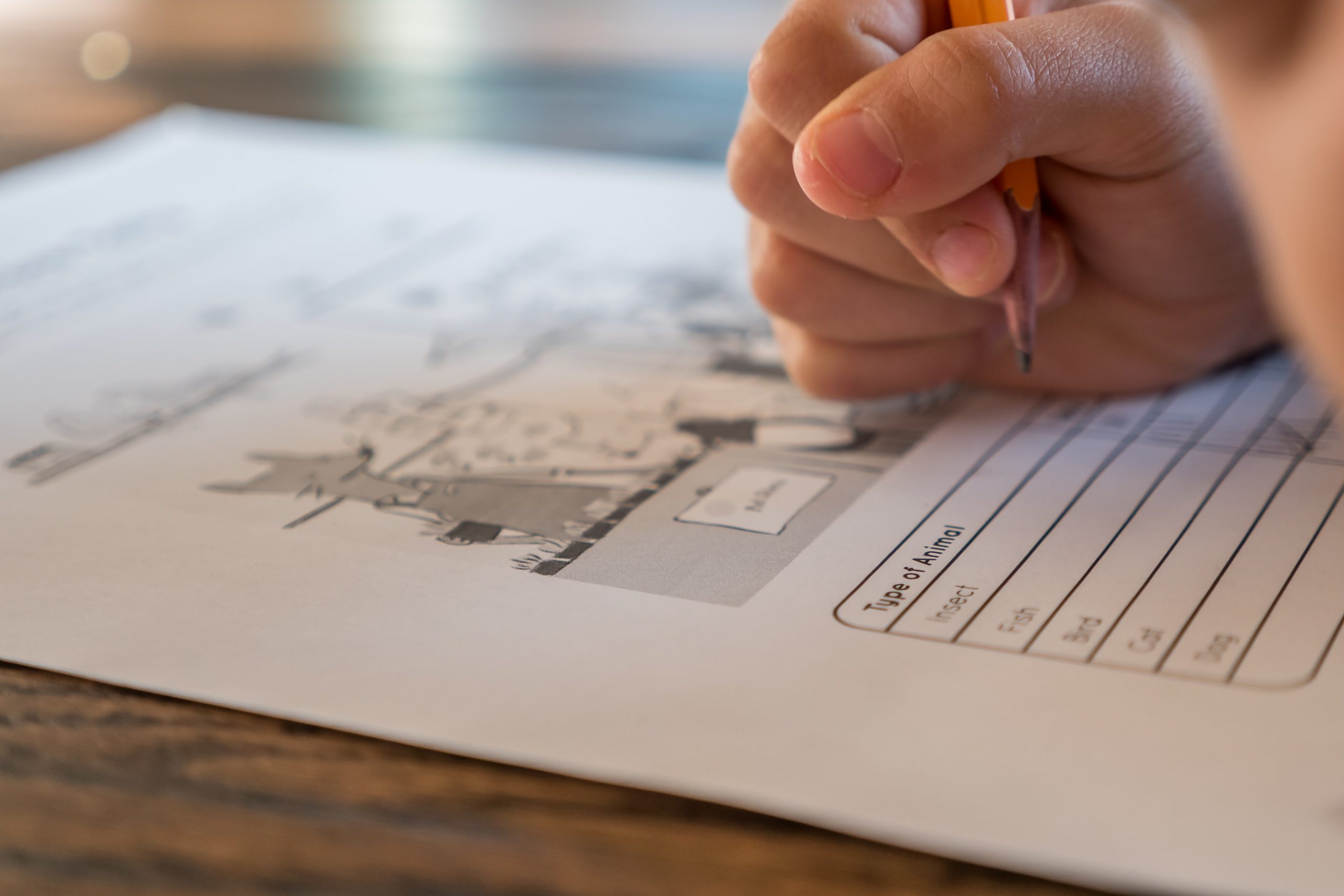 Saviez-vous que le fait d’écrire de sa propre main est bénéfique pour les fonctions cognitives des enfants ?